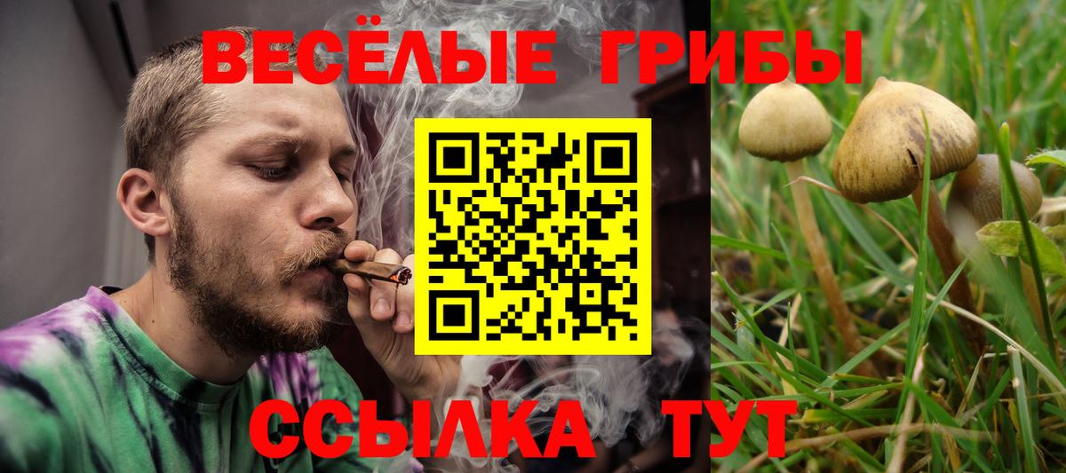 Юрга  Галлюциногенные грибы ЛСД  Вход с VPN  Псилоцибиновые грибы прущие грибы 